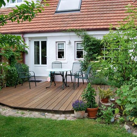 Apartament Rittersporn Cismar Zewnętrze zdjęcie