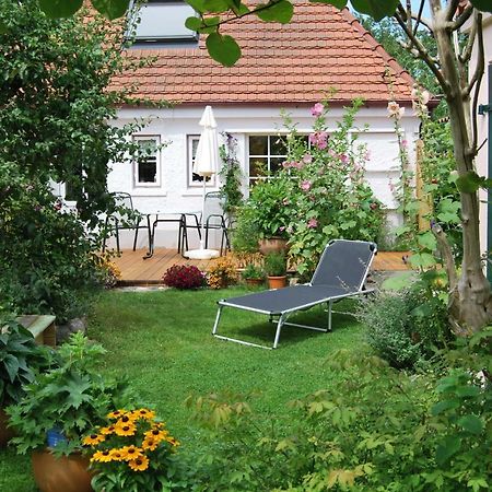 Apartament Rittersporn Cismar Zewnętrze zdjęcie